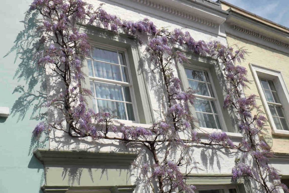 islington windows